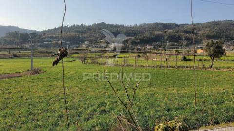 Quinta com 3 hectares com duas moradias.