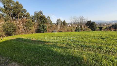 Quinta com 3 hectares com duas moradias.
