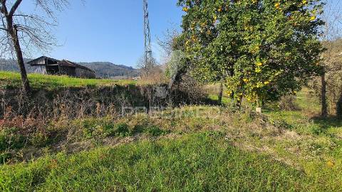 Quinta com 3 hectares com duas moradias.