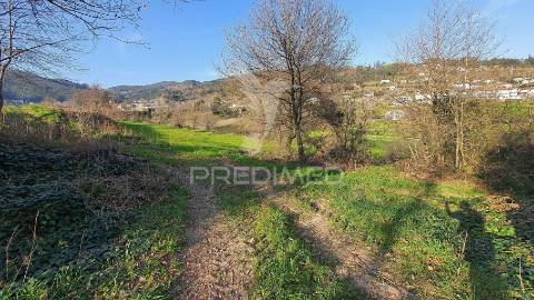 Quinta com 3 hectares com duas moradias.