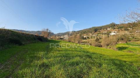 Quinta com 3 hectares com duas moradias.
