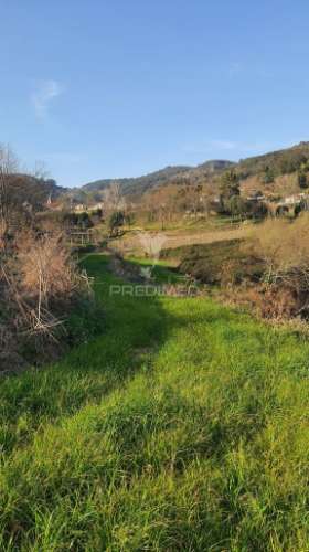 Quinta com 3 hectares com duas moradias.