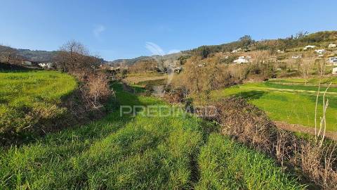Quinta com 3 hectares com duas moradias.