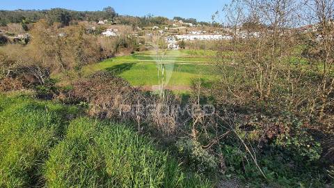 Quinta com 3 hectares com duas moradias.