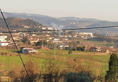 Quinta com 3 hectares com duas moradias.