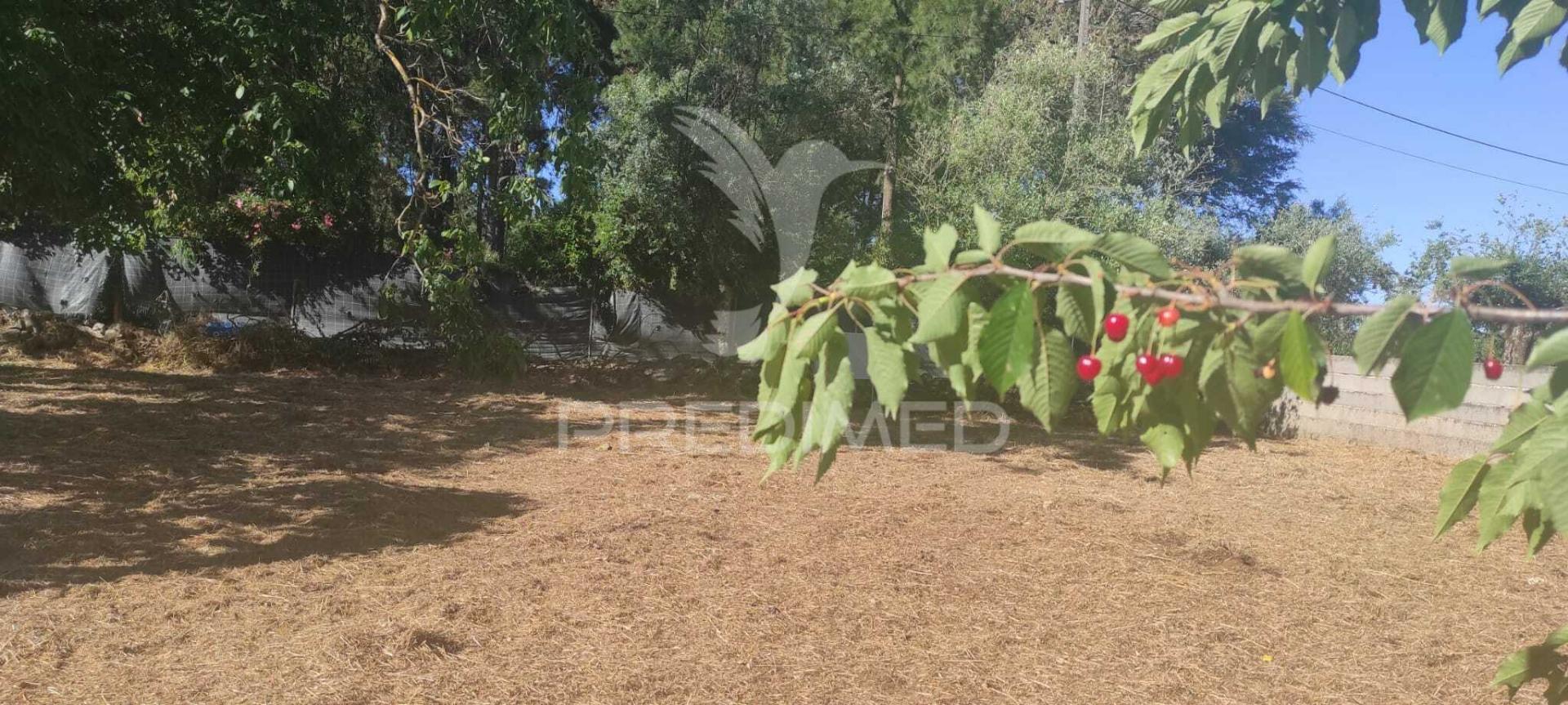 Terreno c/ 1115m2, p/ construção; boleiros