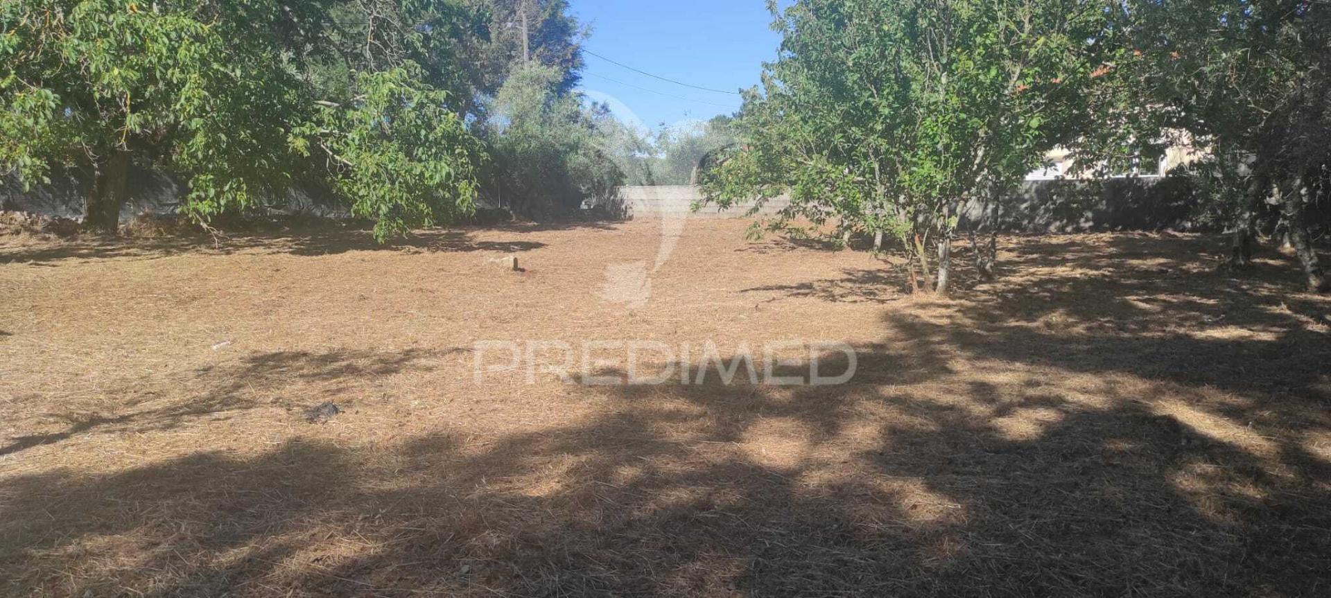 Terreno c/ 1115m2, p/ construção; boleiros