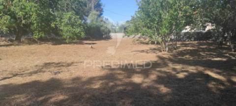 Terreno c/ 1115m2, p/ construção; boleiros