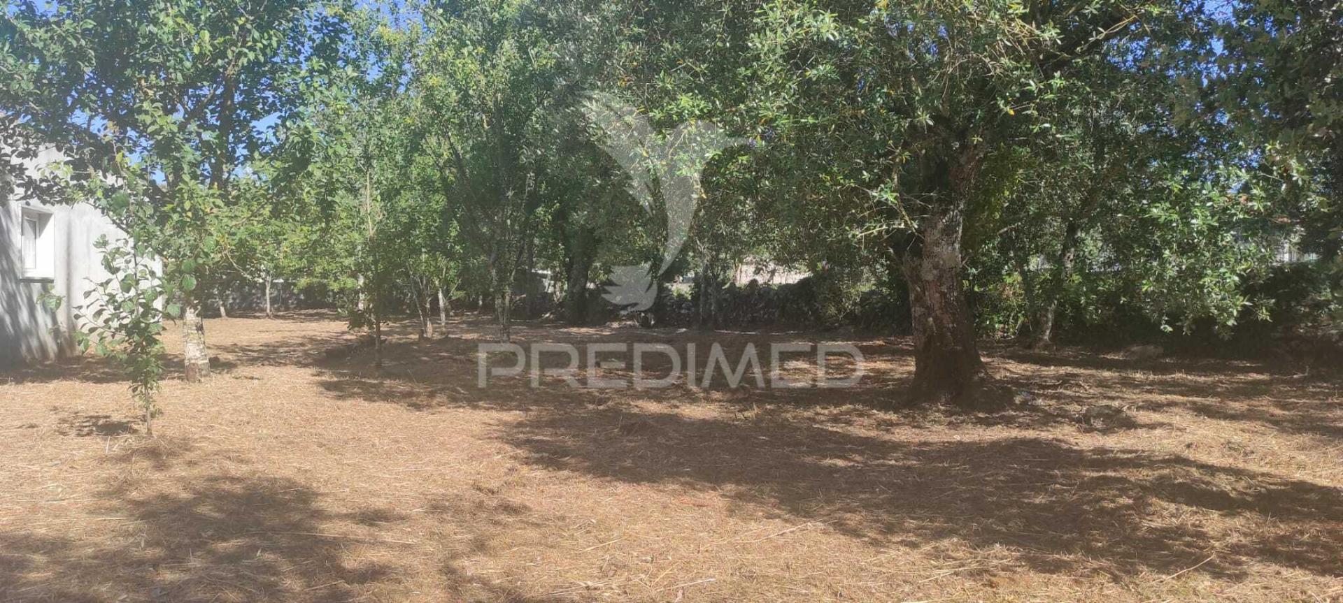 Terreno c/ 1115m2, p/ construção; boleiros