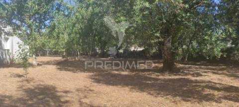 Terreno c/ 1115m2, p/ construção; boleiros