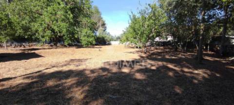 Terreno c/ 1115m2, p/ construção; boleiros