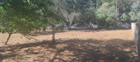 Terreno c/ 1115m2, p/ construção; boleiros