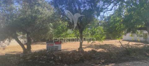 Terreno c/ 1115m2, p/ construção; boleiros