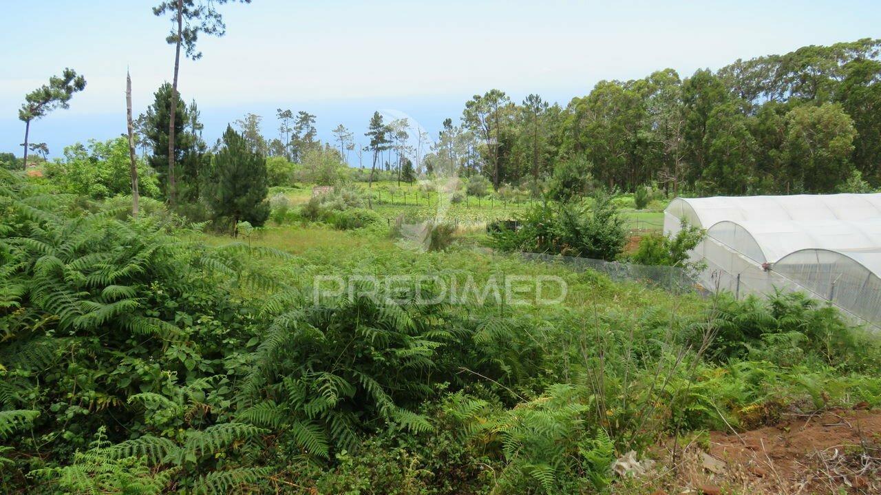 Terreno nos canhas-ponta do sol  (6.272m2)