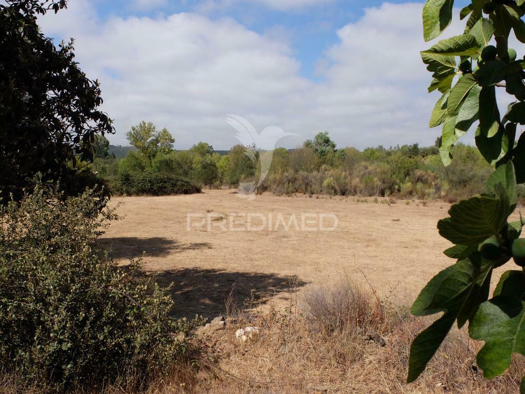 Terreno rústico com ruína de arrumos agrícolas e bom acesso a  água