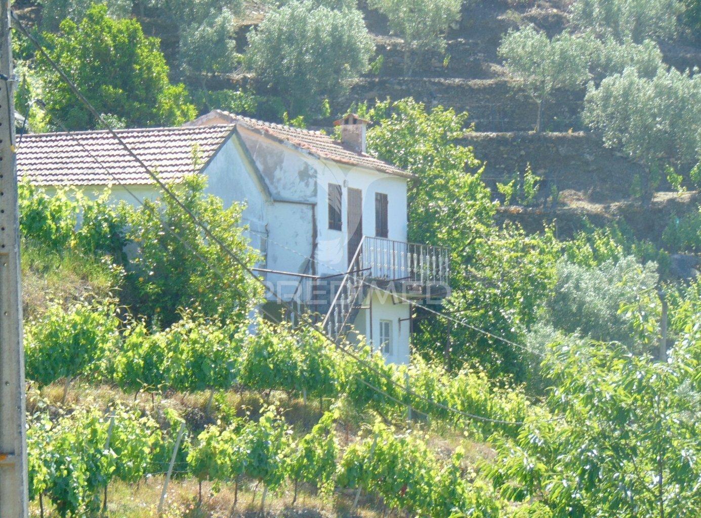 Vinha c/ moradia no alto douro vinhateiro