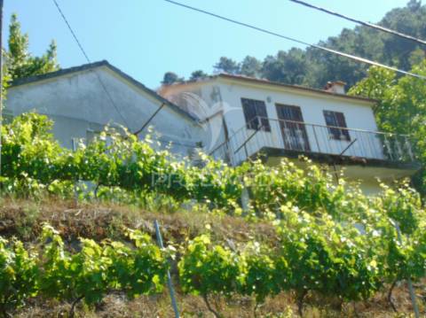Vinha c/ moradia no alto douro vinhateiro