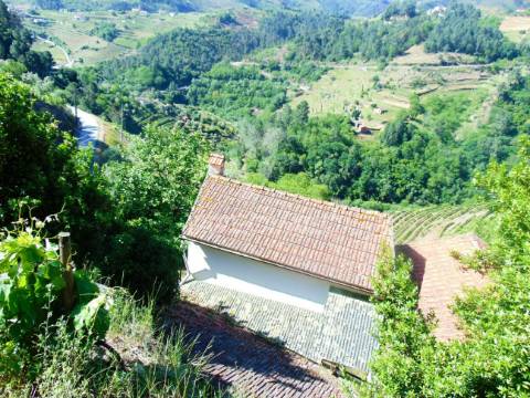 Vinha c/ moradia no alto douro vinhateiro