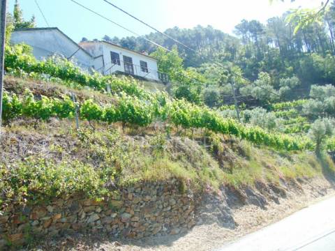 Vinha c/ moradia no alto douro vinhateiro