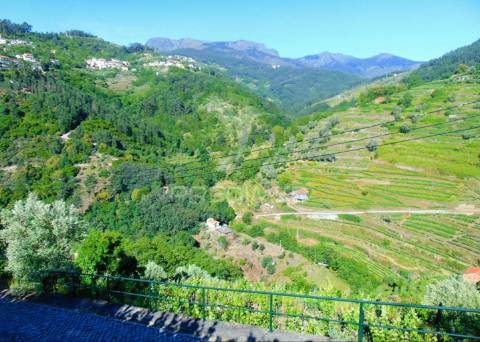 Vinha c/ moradia no alto douro vinhateiro