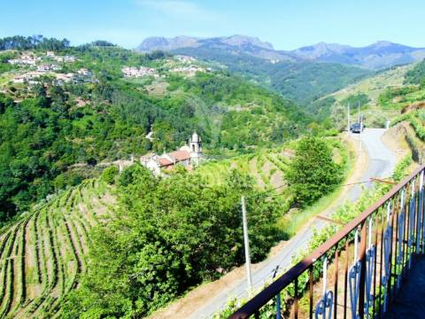 Vinha c/ moradia no alto douro vinhateiro