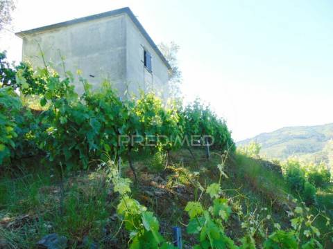 Vinha c/ moradia no alto douro vinhateiro