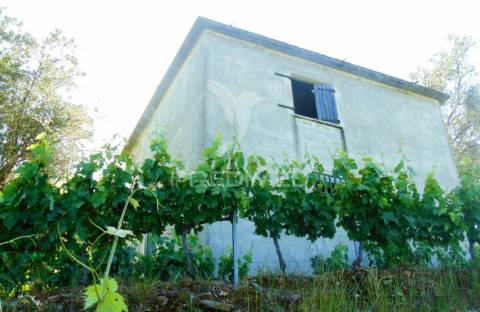 Vinha c/ moradia no alto douro vinhateiro
