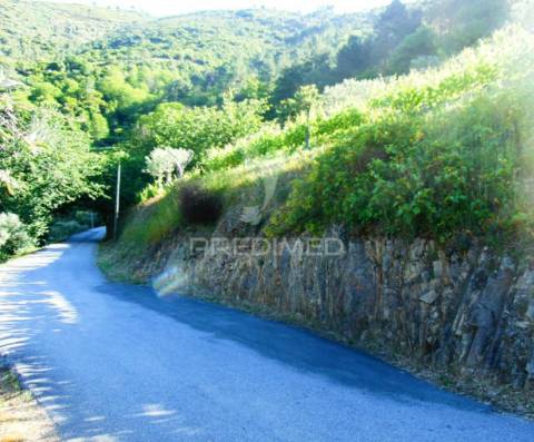 Vinha c/ moradia no alto douro vinhateiro