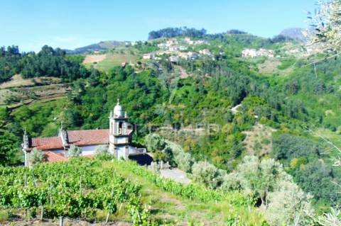 Vinha c/ moradia no alto douro vinhateiro