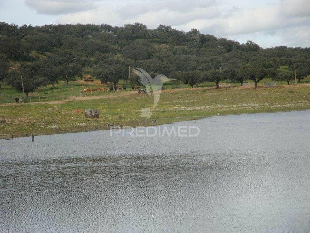 Herdade com 145 ha em vila viçosa
