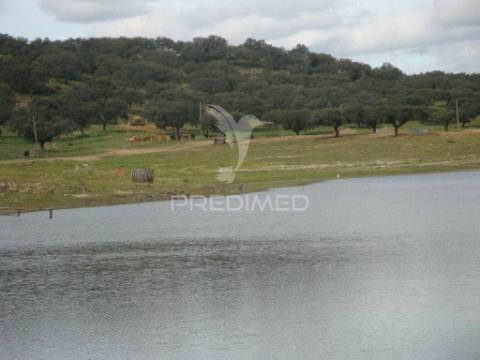 Herdade com 145 ha em vila viçosa
