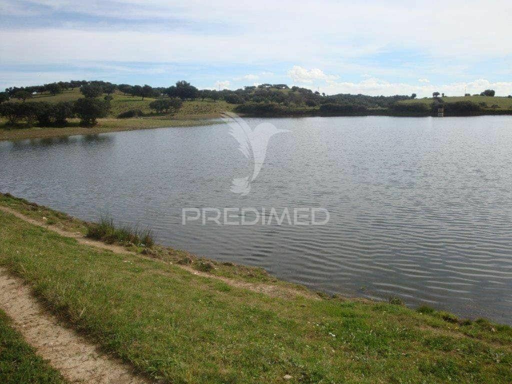 Herdade com 145 ha em vila viçosa