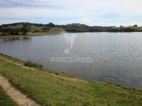 Herdade com 145 ha em vila viçosa