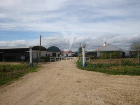 Herdade com 145 ha em vila viçosa