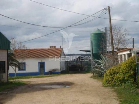 Herdade com 145 ha em vila viçosa