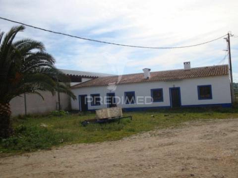 Herdade com 145 ha em vila viçosa