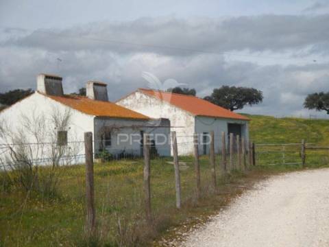 Herdade com 145 ha em vila viçosa