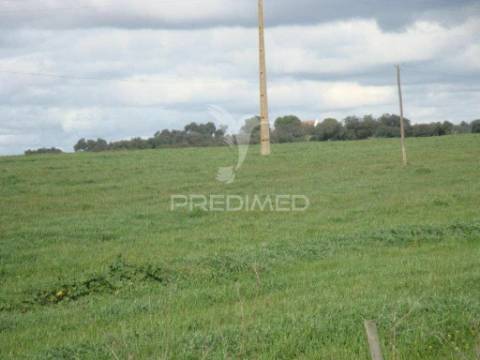 Herdade com 145 ha em vila viçosa