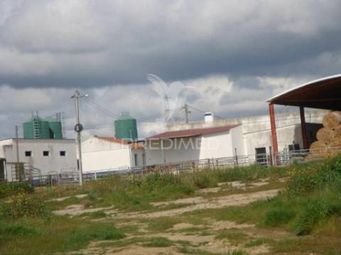 Herdade com 145 ha em vila viçosa