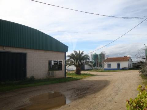 Herdade com 145 ha em vila viçosa