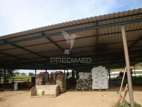 Herdade com 145 ha em vila viçosa