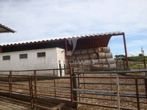 Herdade com 145 ha em vila viçosa
