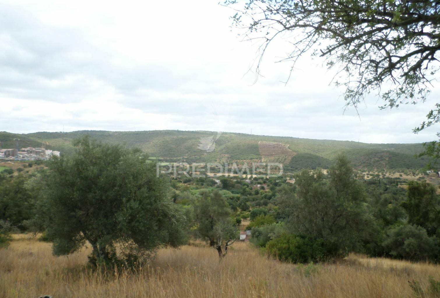 Loulé , tôr - lote com 3628m2 / ruína com 285,35m2  / plot with 3628m2 / ruin with 285.35m2