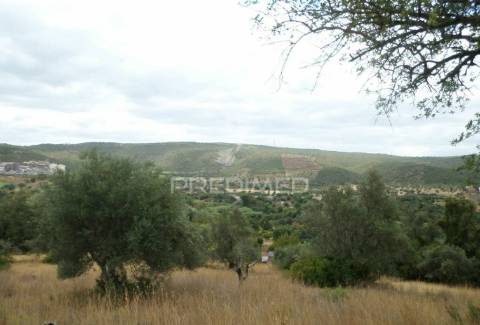 Loulé , tôr - lote com 3628m2 / ruína com 285,35m2  / plot with 3628m2 / ruin with 285.35m2