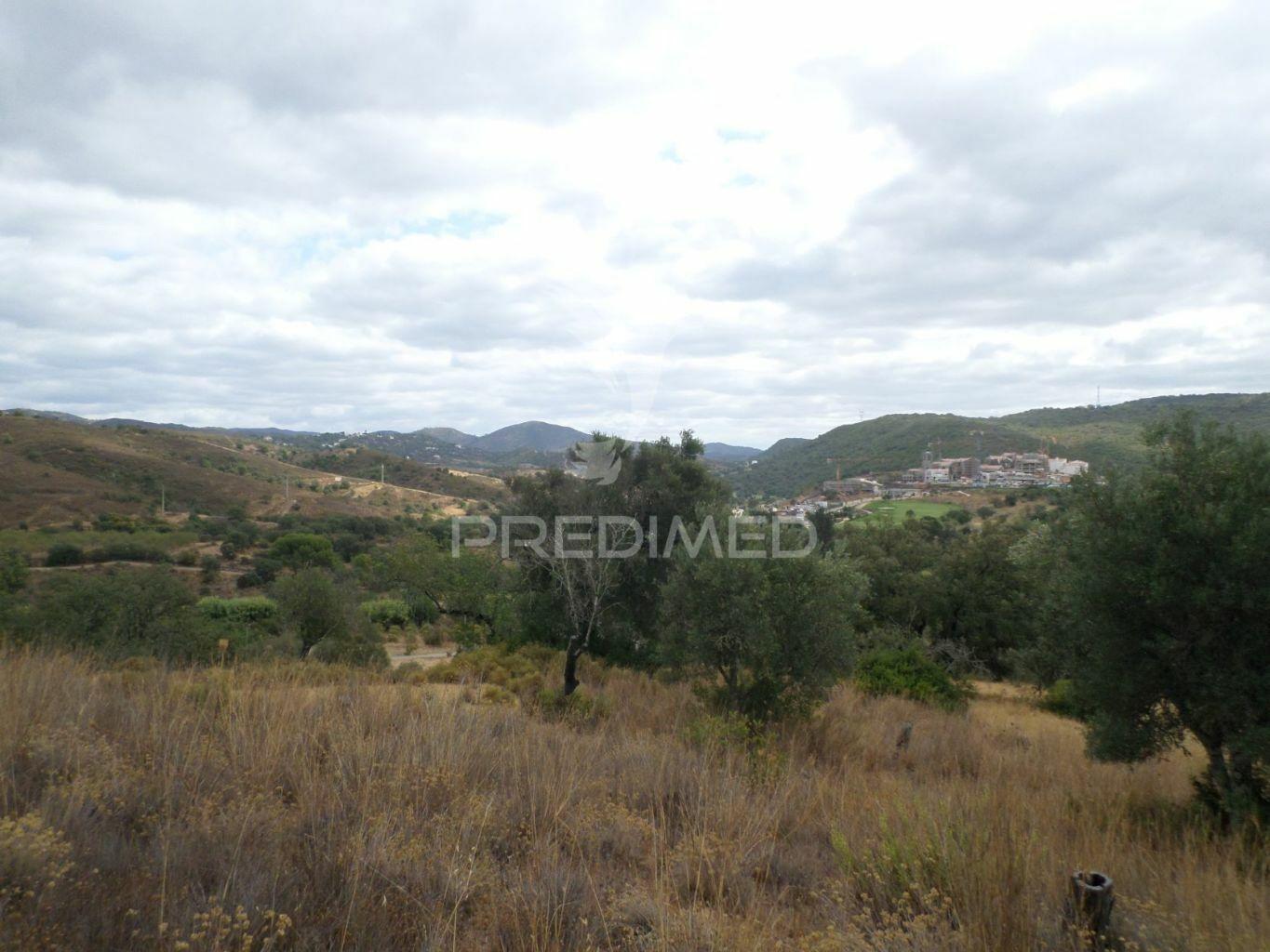 Loulé , tôr - lote com 3628m2 / ruína com 285,35m2  / plot with 3628m2 / ruin with 285.35m2