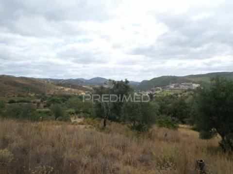Loulé , tôr - lote com 3628m2 / ruína com 285,35m2  / plot with 3628m2 / ruin with 285.35m2