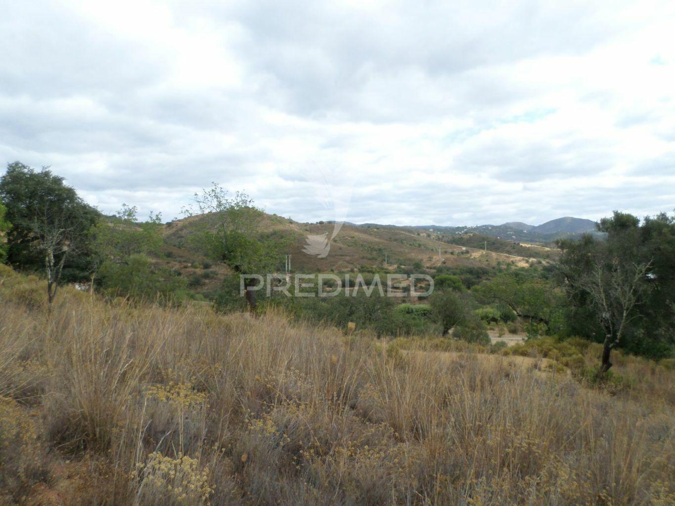Loulé , tôr - lote com 3628m2 / ruína com 285,35m2  / plot with 3628m2 / ruin with 285.35m2