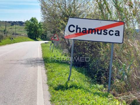 Saiba mais sobre este fantástico imóvel. oportunidade única.