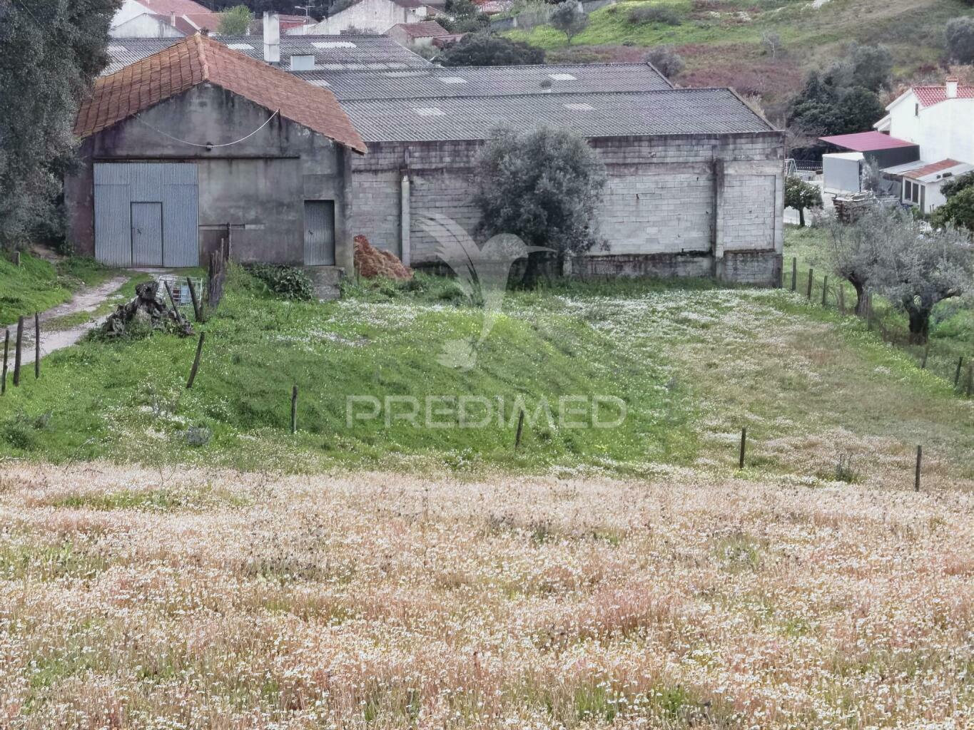 Terreno urbano com pavilhão, monsanto / alcanena