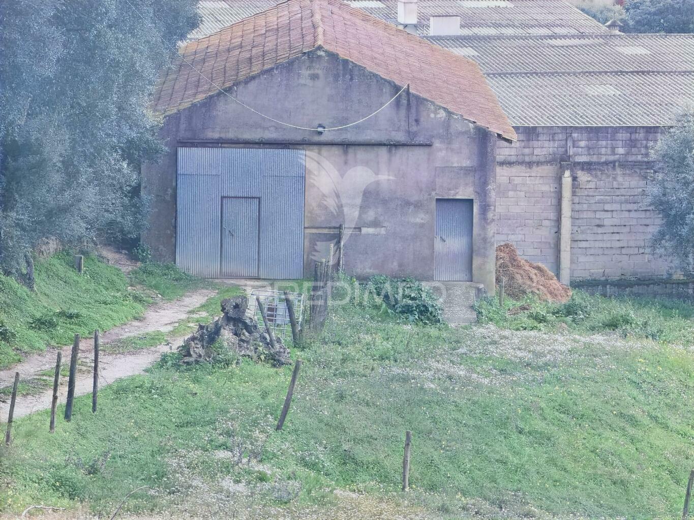 Terreno urbano com pavilhão, monsanto / alcanena